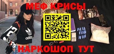 СК Кингисепп