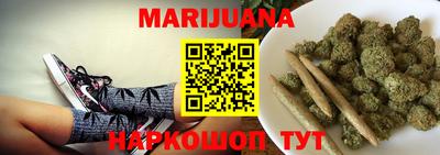СК Кингисепп
