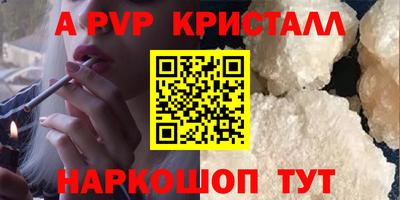 СК Кингисепп