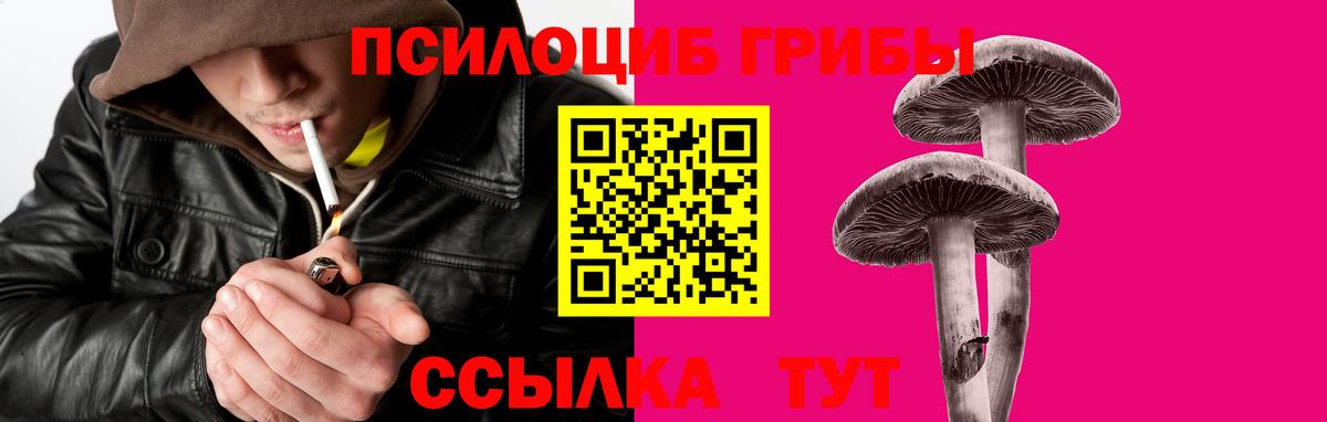 Краснокаменск  Галлюциногенные грибы Psilocybe  Вход с VPN 